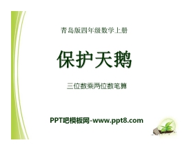 《保护天鹅》PPT课件7