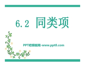 《同类项》PPT课件