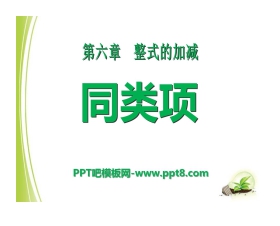 《同类项》PPT课件2