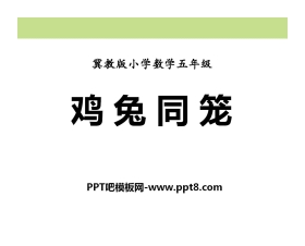 《鸡兔同笼》探索乐园PPT课件