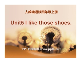 《I like those shoes》PPT课件5