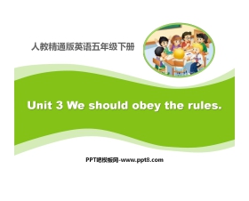 《We should obey the rules》PPT课件2
