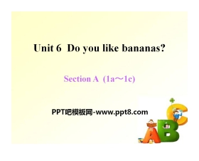 《Do you like bananas?》PPT课件16