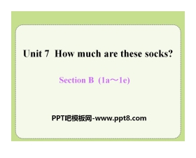 《How much are these socks?》PPT课件15