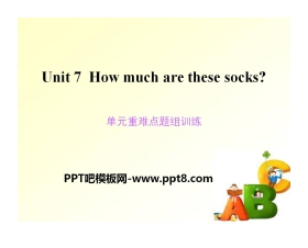 《How much are these socks?》PPT课件11