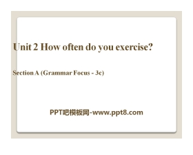 《How often do you exercise?》PPT课件19
