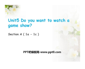 《Do you want to watch a game show》PPT课件16