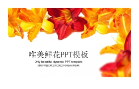 鲜艳花卉背景唯美PPT模板免费下载