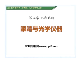 《眼睛与光学仪器》光和眼睛PPT课件3