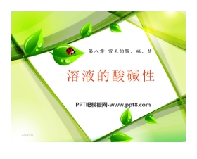 《溶液的酸碱性》常见的酸、碱、盐PPT课件