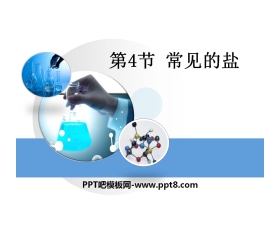 《常用的盐》常见的酸、碱、盐PPT课件