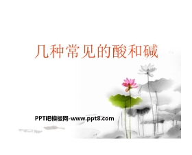 《几种常见的酸和碱》初始酸、碱和盐PPT课件3