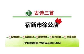 《宿新市徐公店》古诗三首PPT