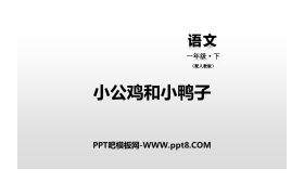 《小公鸡和小鸭子》PPT下载