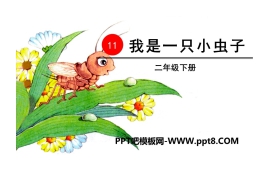 《我是一只小虫子》PPT