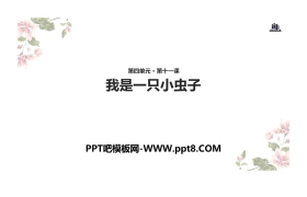 《我是一只小虫子》PPT下载