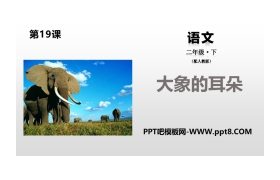 《大象的耳朵》PPT