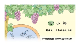 《小虾》PPT免费课件