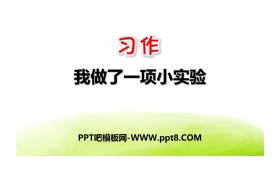 《我做了一项小实验》PPT下载