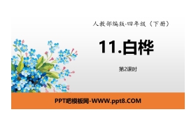 《白桦》PPT(第2课时)
