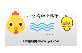 《小公鸡和小鸭子》PPT课件下载