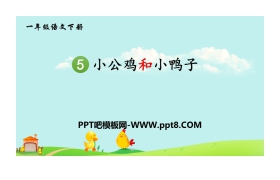 《小公鸡和小鸭子》PPT免费下载