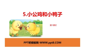 《小公鸡和小鸭子》PPT课件(第1课时)