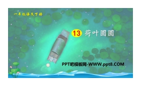 《荷叶圆圆》PPT课件下载
