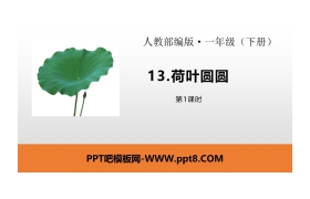 《荷叶圆圆》PPT课件(第1课时)