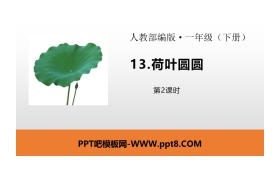 《荷叶圆圆》PPT课件(第2课时)