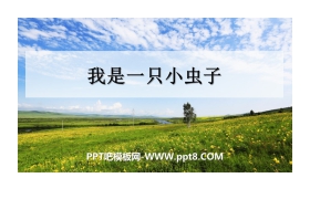 《我是一只小虫子》PPT课件下载