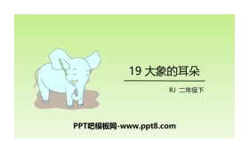 《大象的耳朵》PPT教学课件