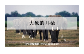 《大象的耳朵》PPT课件下载