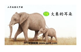 《大象的耳朵》PPT免费课件