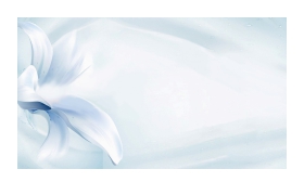蓝色淡雅花卉PPT背景图片