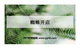 《蜘蛛开店》PPT免费课件