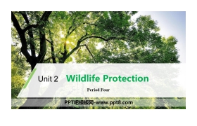 《Wildlife Protection》Period Four PPT