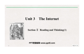 《The Internet》SectionⅡ PPT课件