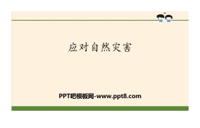 《应对自然灾害》爱护地球 共同责任PPT