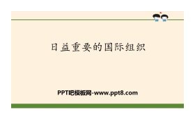 《日益重要的国际组织》让世界更美好PPT