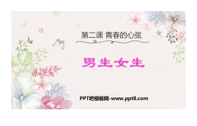 《男生女生》PPT免费课件