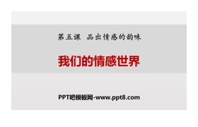 《我们的情感世界》PPT课件下载