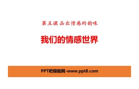 《我们的情感世界》PPT课件