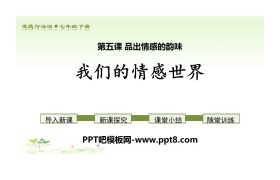 《我们的情感世界》PPT下载