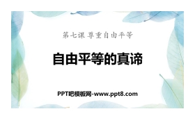 《自由平等的真谛》PPT优质课件