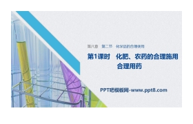 《化学品的合理使用》化学与可持续发展PPT课件(第1课时化肥、农药的合理施用合理用药)