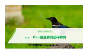 《DNA是主要的遗传物质》基因的本质PPT