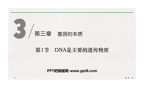 《DNA是主要的遗传物质》基因的本质PPT下载