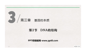 《DNA的结构》基因的本质PPT下载