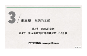 《DNA的复制》《基因通常是有遗传效应的DNA片段》基因的本质PPT下载